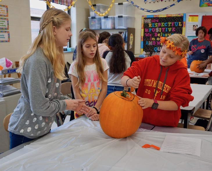 <p> Let the carving begin!</p>
