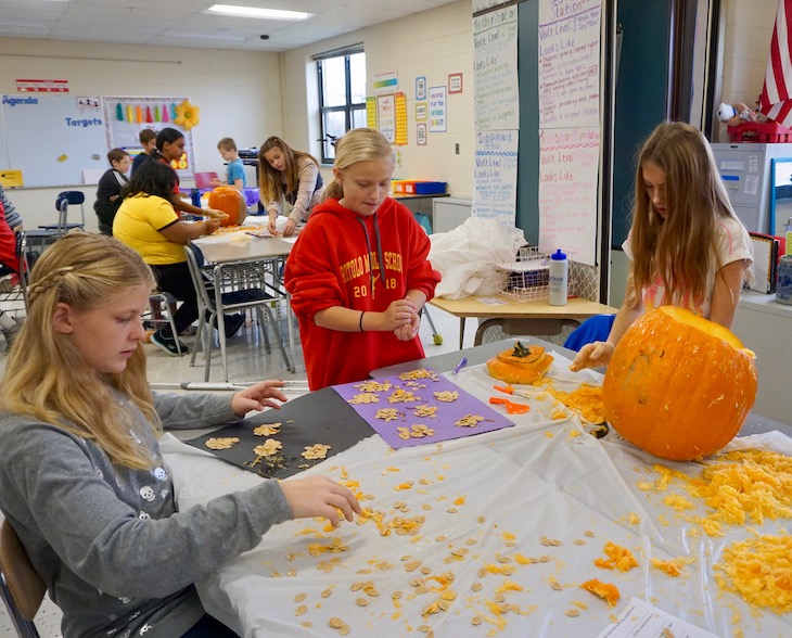 <p>This group counted seeds in groups of 20.</p>
