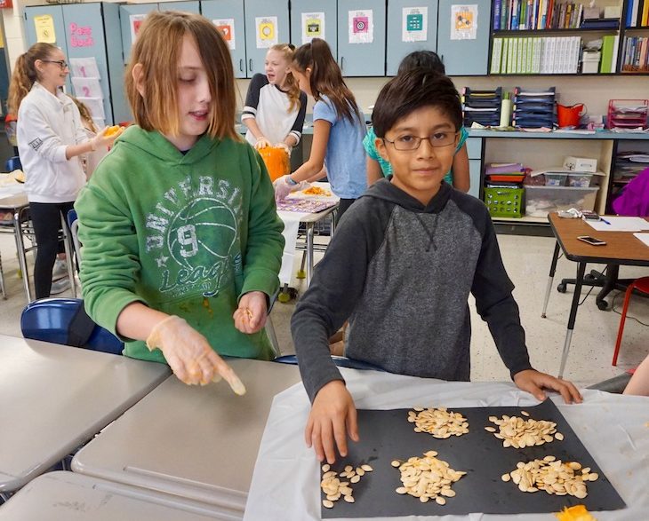 <p>This group counted seeds in groups of 100.</p>
